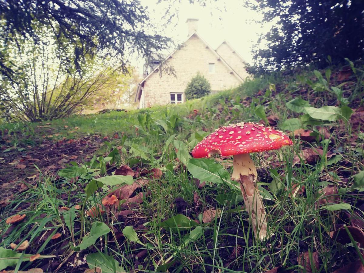 Maison Du Tertre Lonlay-l'Abbaye 外观 照片