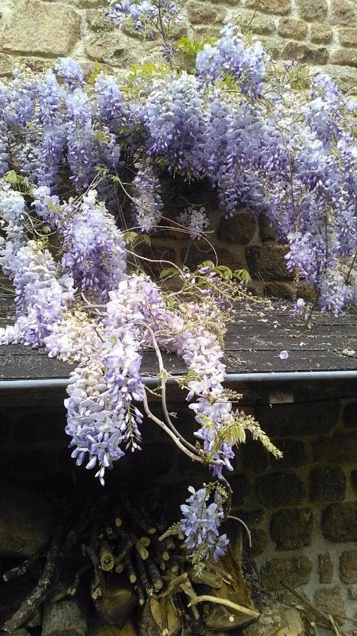 Maison Du Tertre Lonlay-l'Abbaye 外观 照片